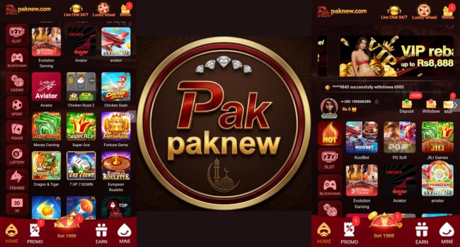 PAKNEW Game Download Free