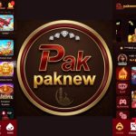PAKNEW Game Download Free