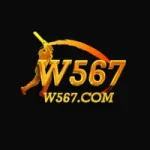 W567 Game