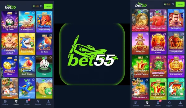 BER55 Game download free