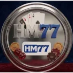 HM77 Game