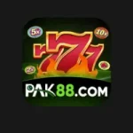 PAKR88 Game