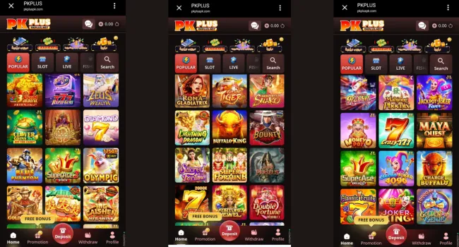 PKPLUS Game download