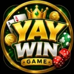 YAYWIN Game download official app