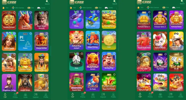 C222 Game download