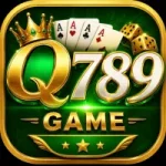 Q789 Game download official app