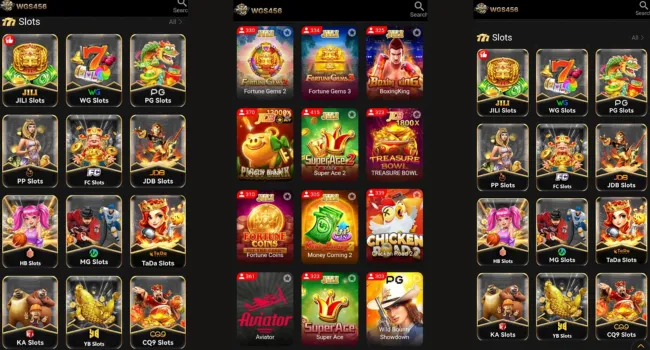 WGS456 Game download